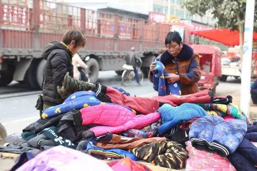 杞县柿园车祸最新爆料消息,悲剧现场细节披露，调查深入进行中