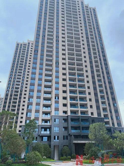 碧桂园最新爆料事件,揭秘事件背后真相与影响”