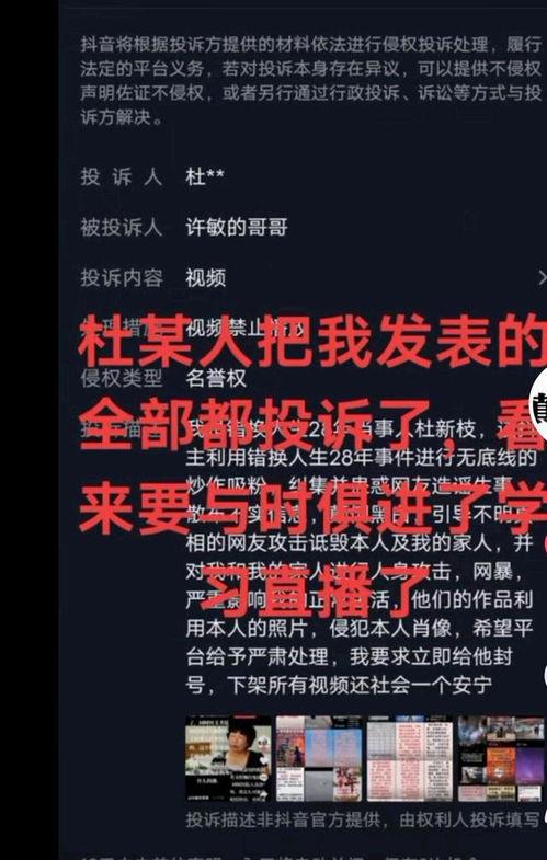 海哥最新爆料消息视频播放,最新爆料视频内容大起底