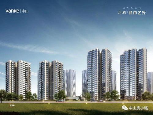 城市之光最新爆料,揭秘最新爆料背后的惊人真相