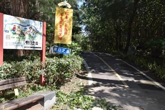 竹林小区新闻爆料最新情况,最新进展及影响揭秘